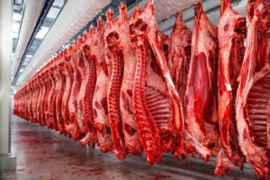 Half of Whole Cow (All Parts Inclusive) | 68kg