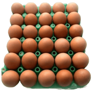 Eggs: Large