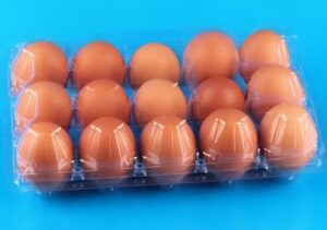 Sealed Jumbo Eggs by 15
