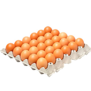 Sealed Jumbo Eggs by 30