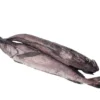Hake Fish