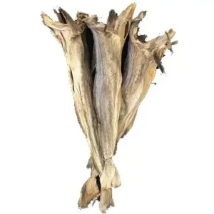 Whole Stockfish 10.0
